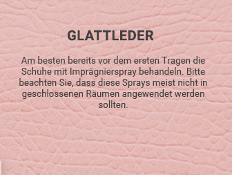 Schuhpflege Glattleder