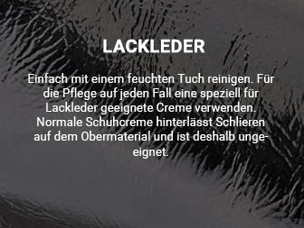 Schuhpflege Lackleder