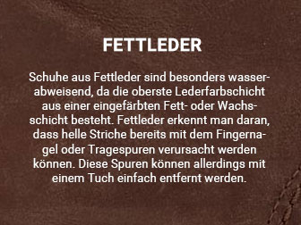 Schuhpflege Fettleder